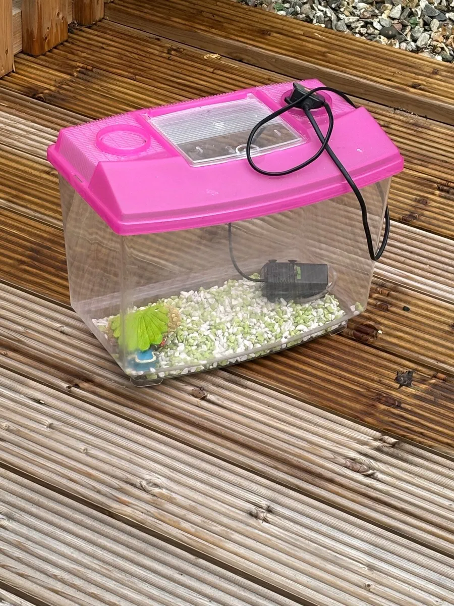 Hamster Cage And fish Tank - Image 1