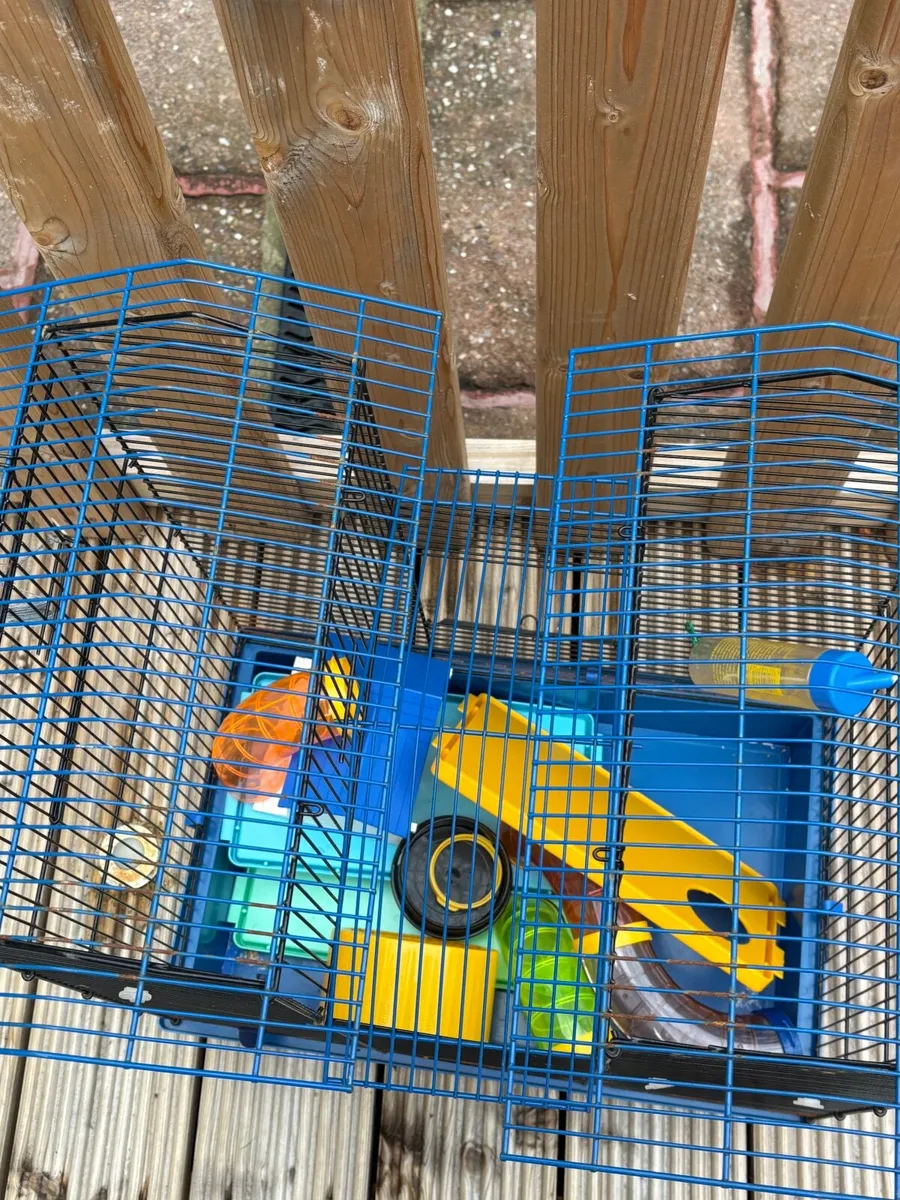 Hamster Cage And fish Tank - Image 3