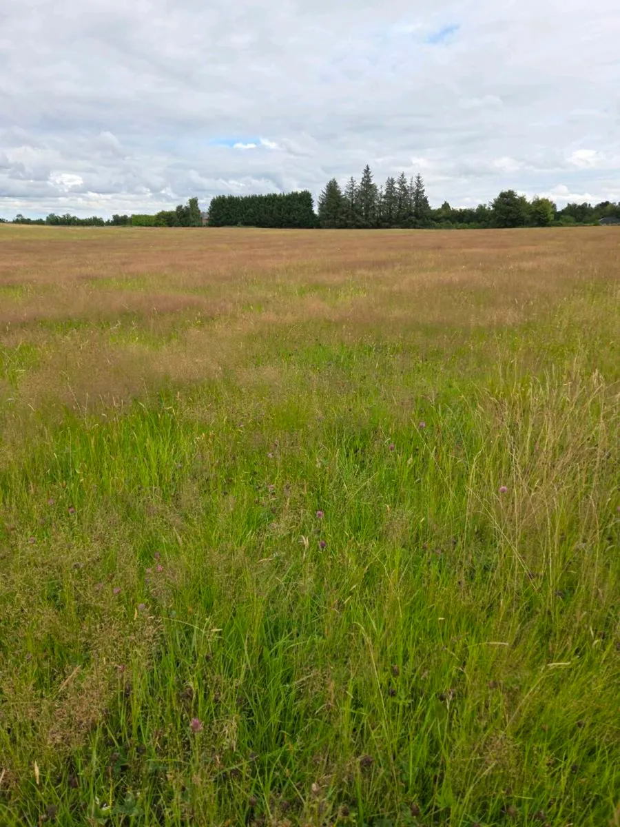 Meadow for sale - Image 1
