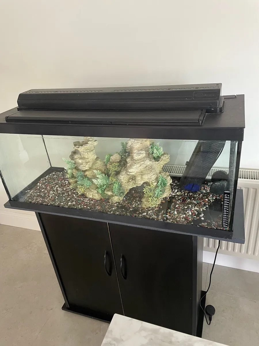 Fish tank bundle - Image 1