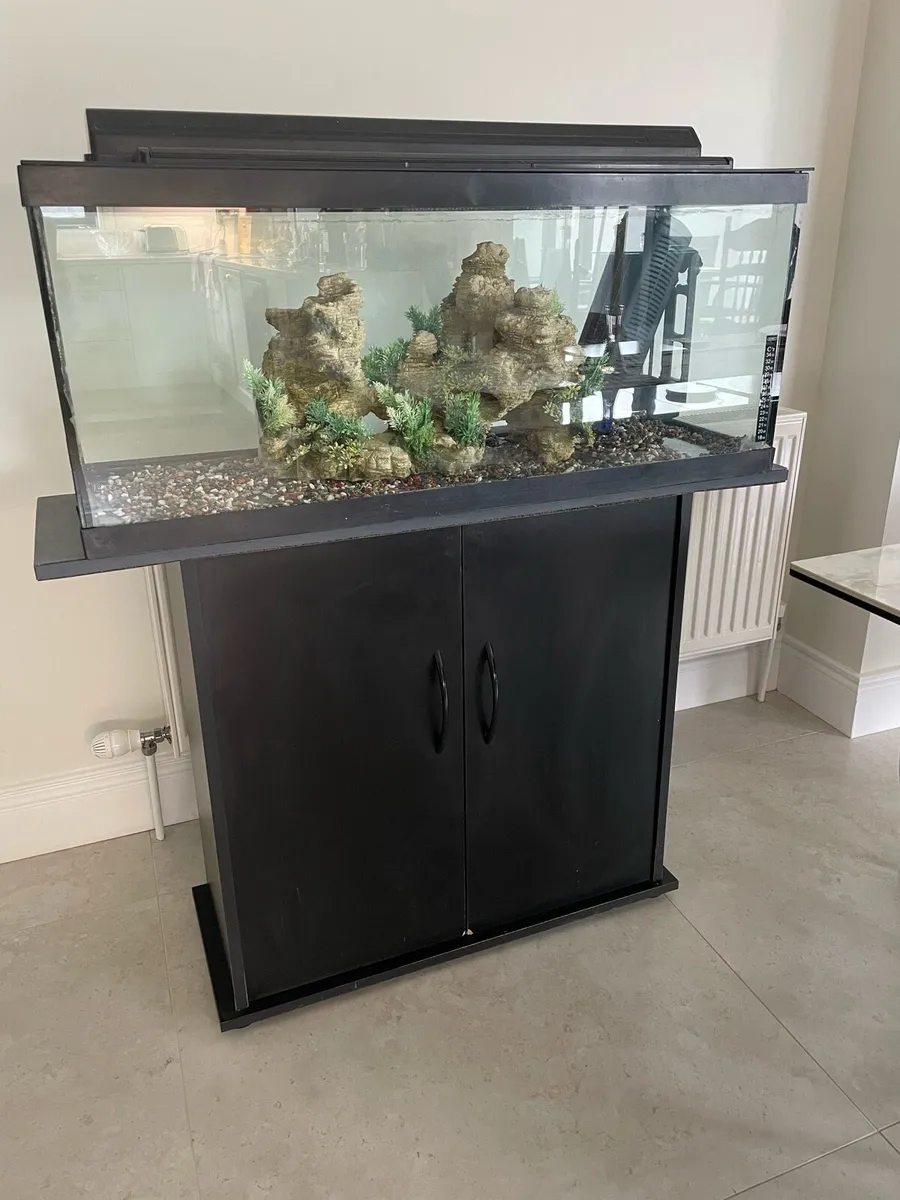 Fish tank bundle - Image 2