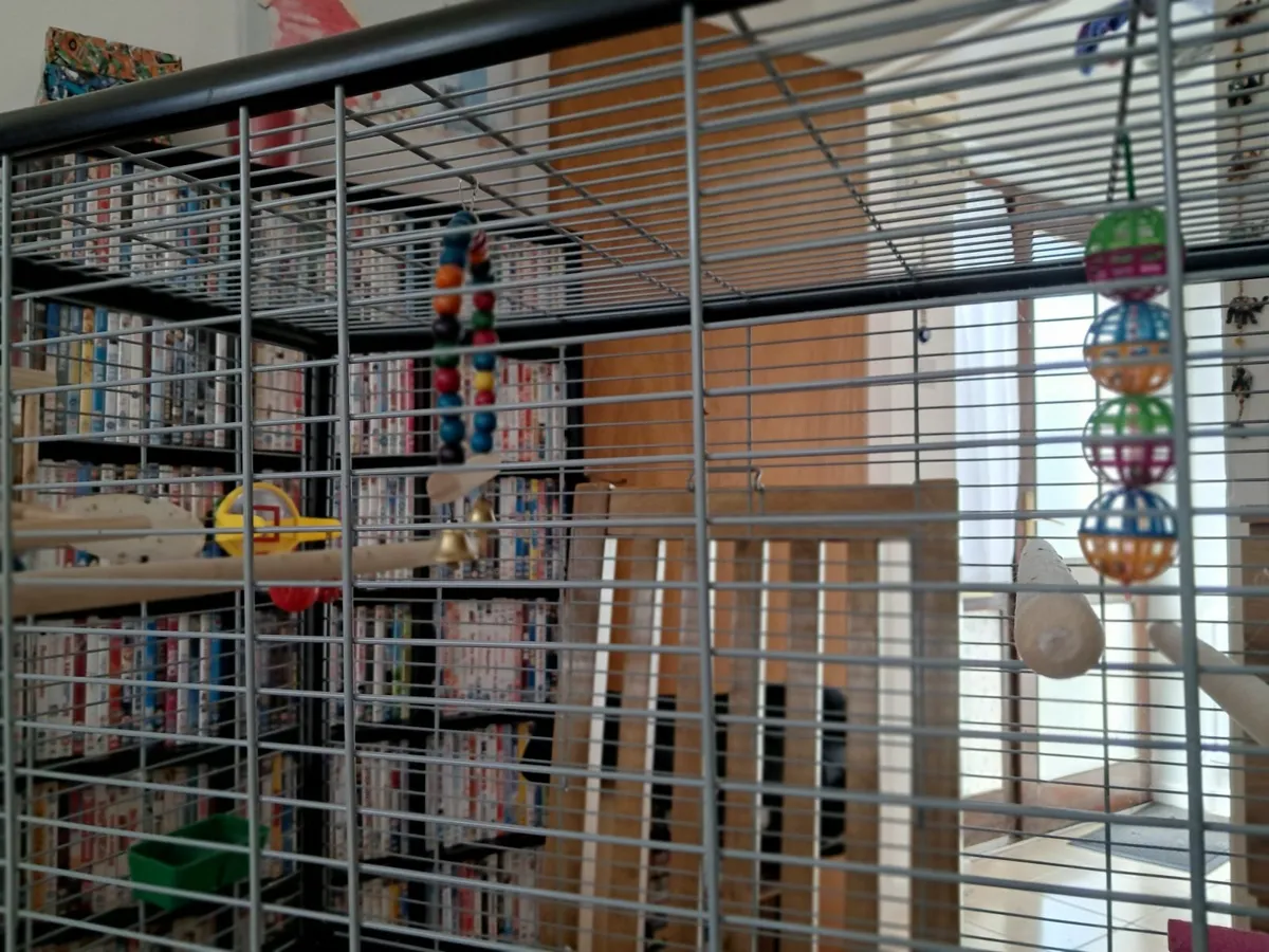 Extra Large Bird Cage - Image 4