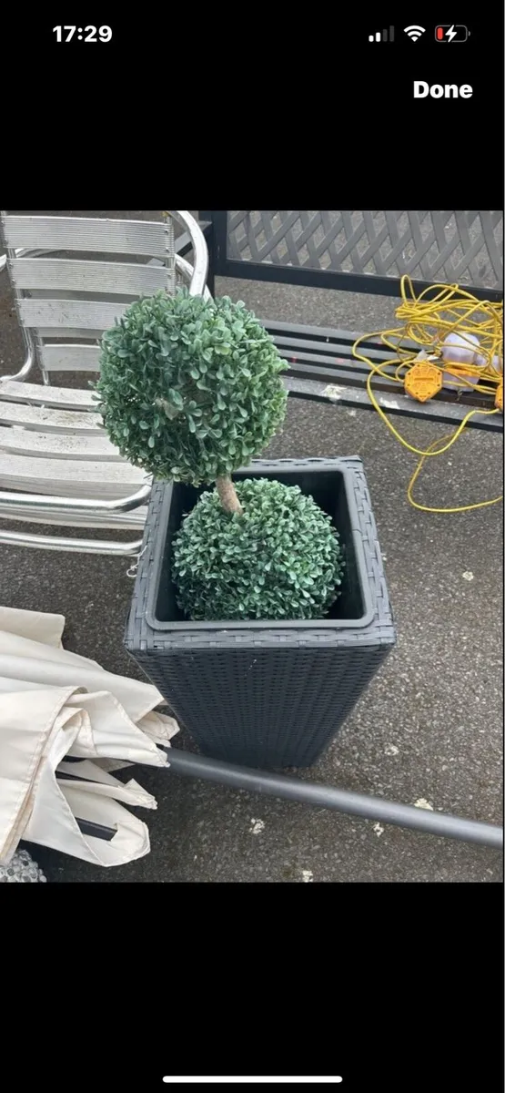Garden Clearance - Image 4