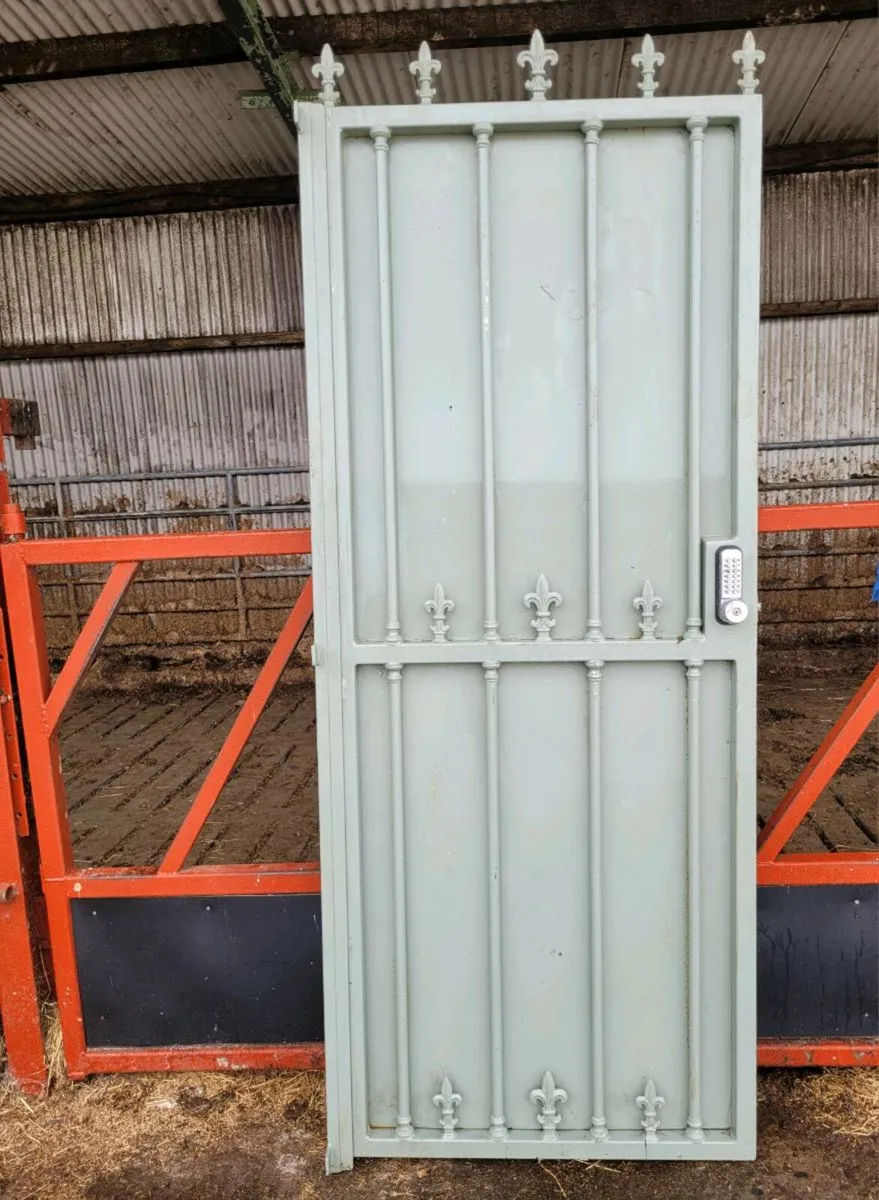 Gate Door - Image 1