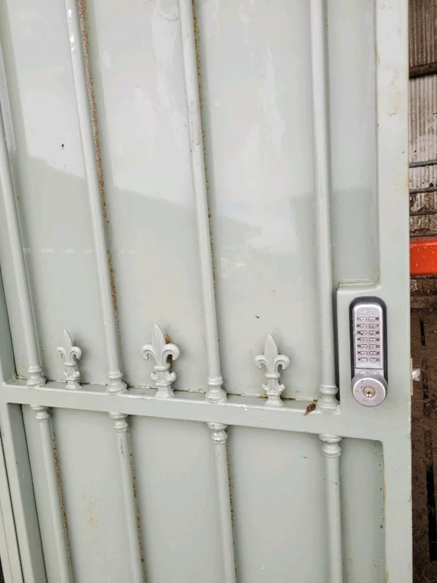 Gate Door - Image 2