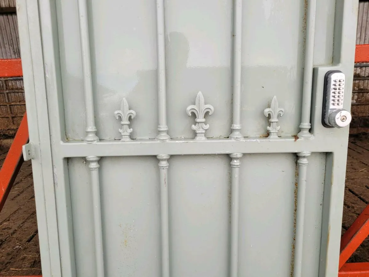 Gate Door - Image 4