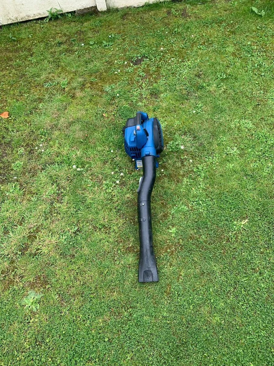 Blower - Image 1