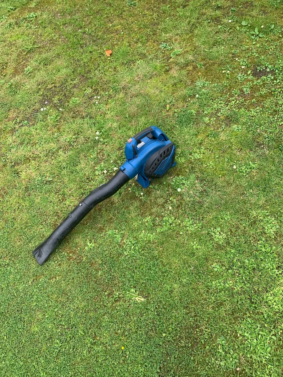 Blower - Image 2