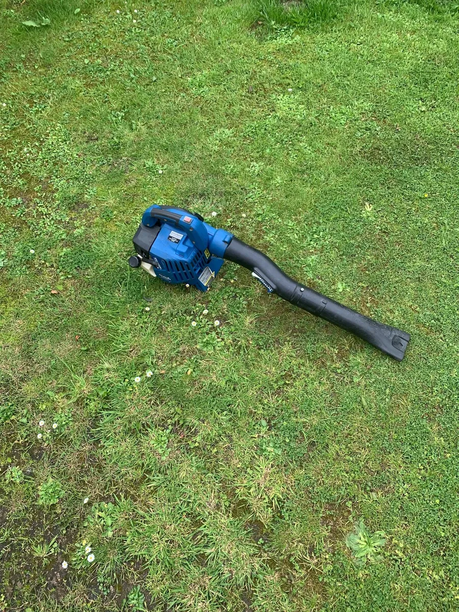 Blower - Image 3