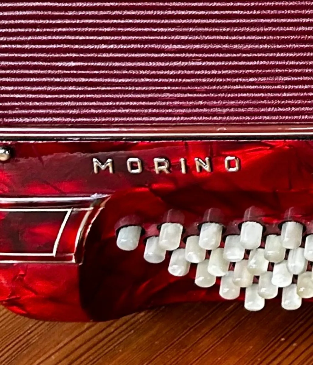 Hohner shand morino - Image 4