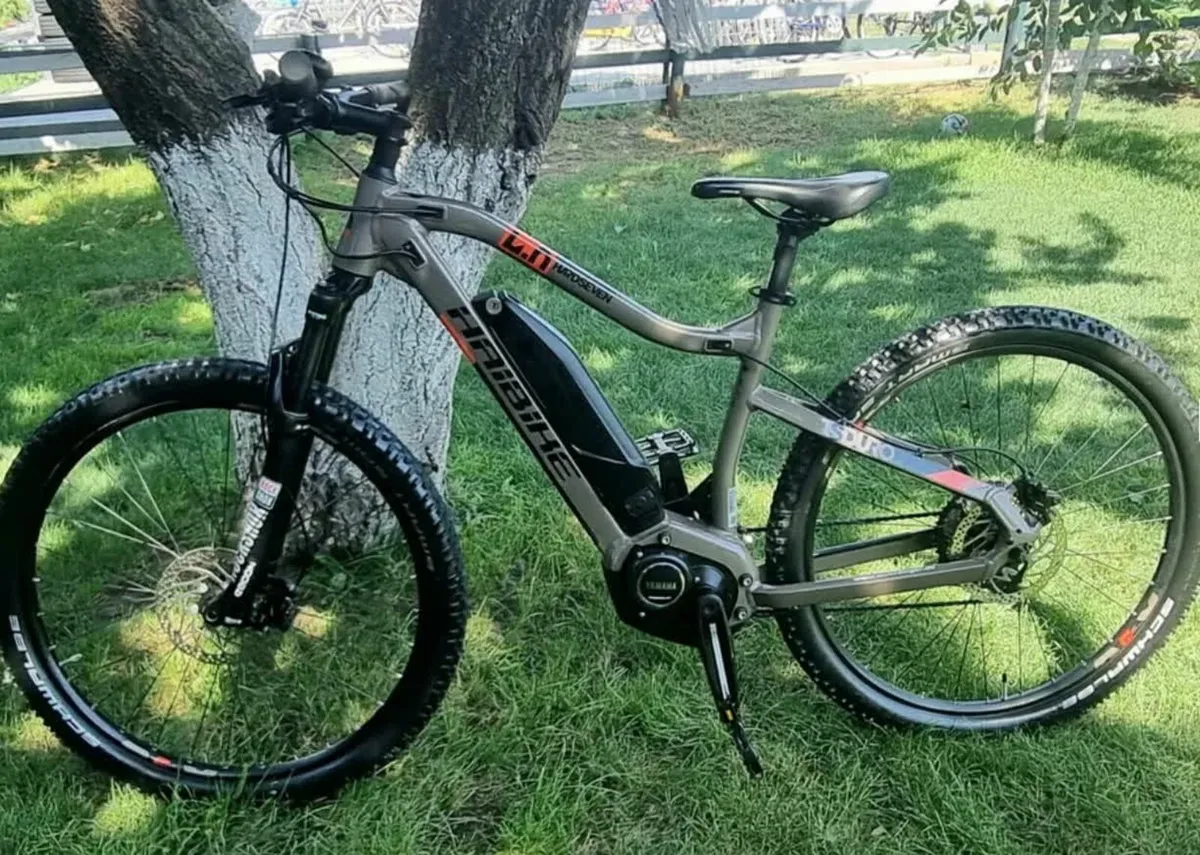 Electric bicycle Hatbike Hardnine 4.0 - Image 1