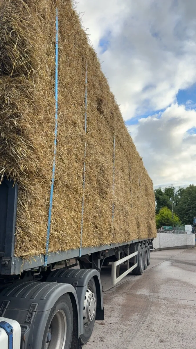 Wheaten straw (delivered) - Image 1