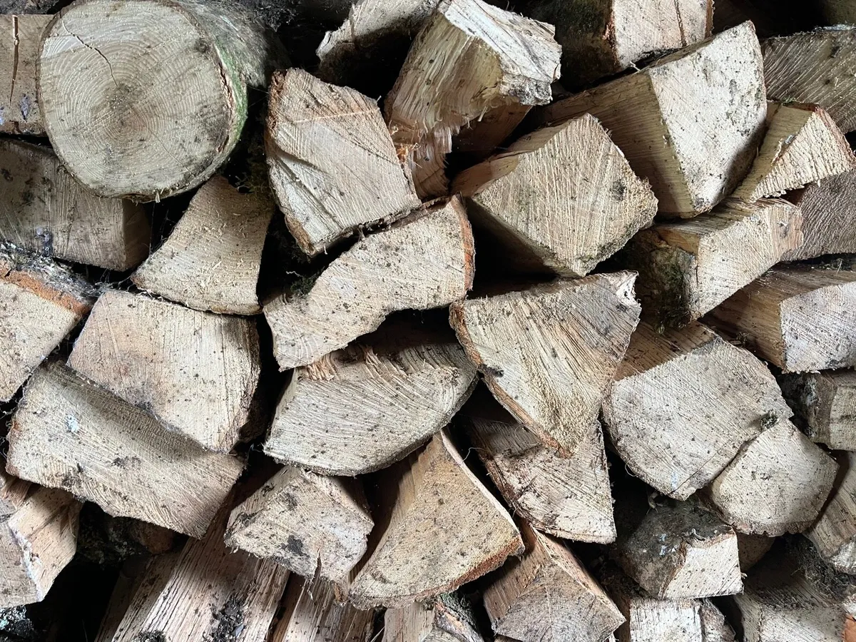 Hardwood firewood - Image 1