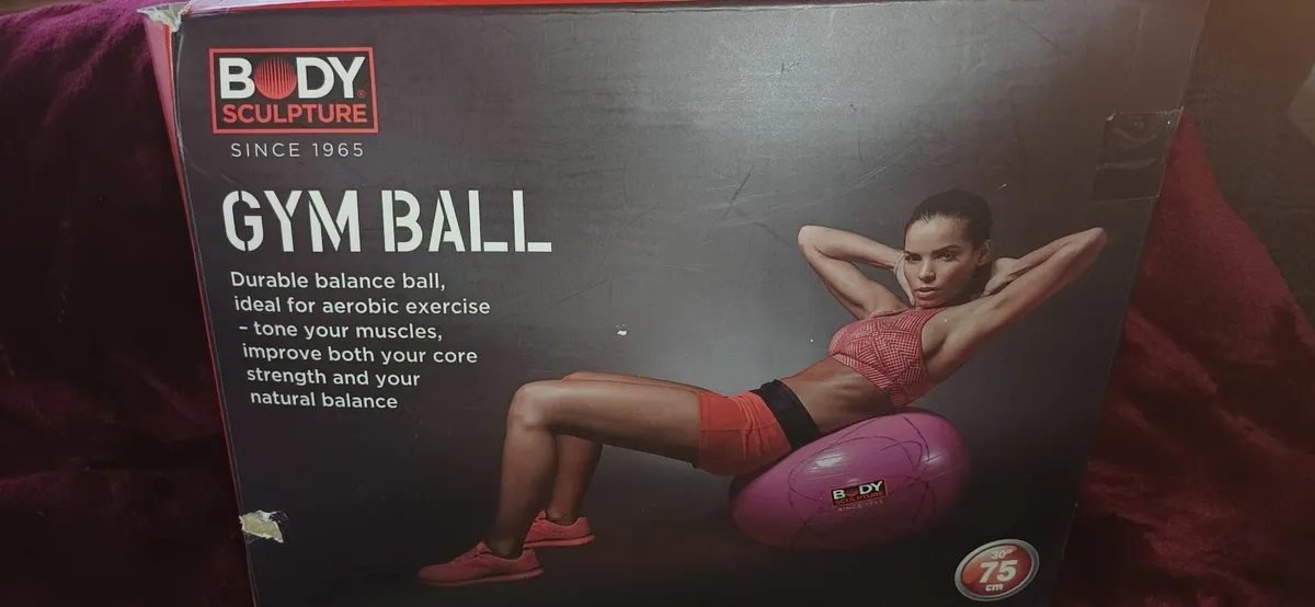 Gym ball - Image 1