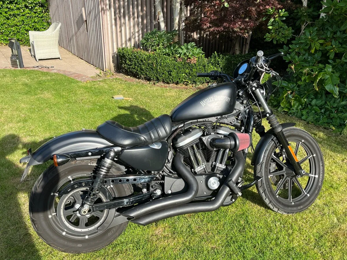 Harley Davidson sportster 1200 - Image 1