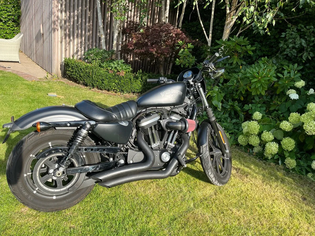 Harley Davidson sportster 1200 - Image 2