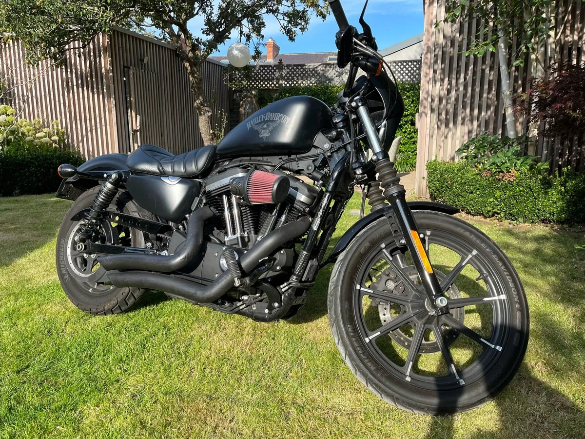 Harley Davidson sportster 1200 - Image 3