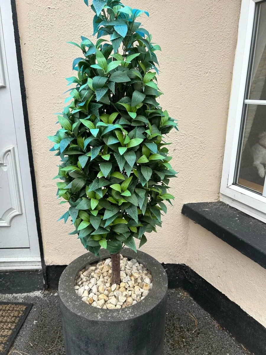 Trees - Image 2
