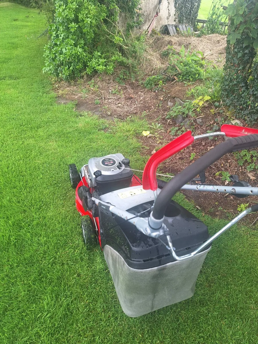 Lawnmower - Image 2
