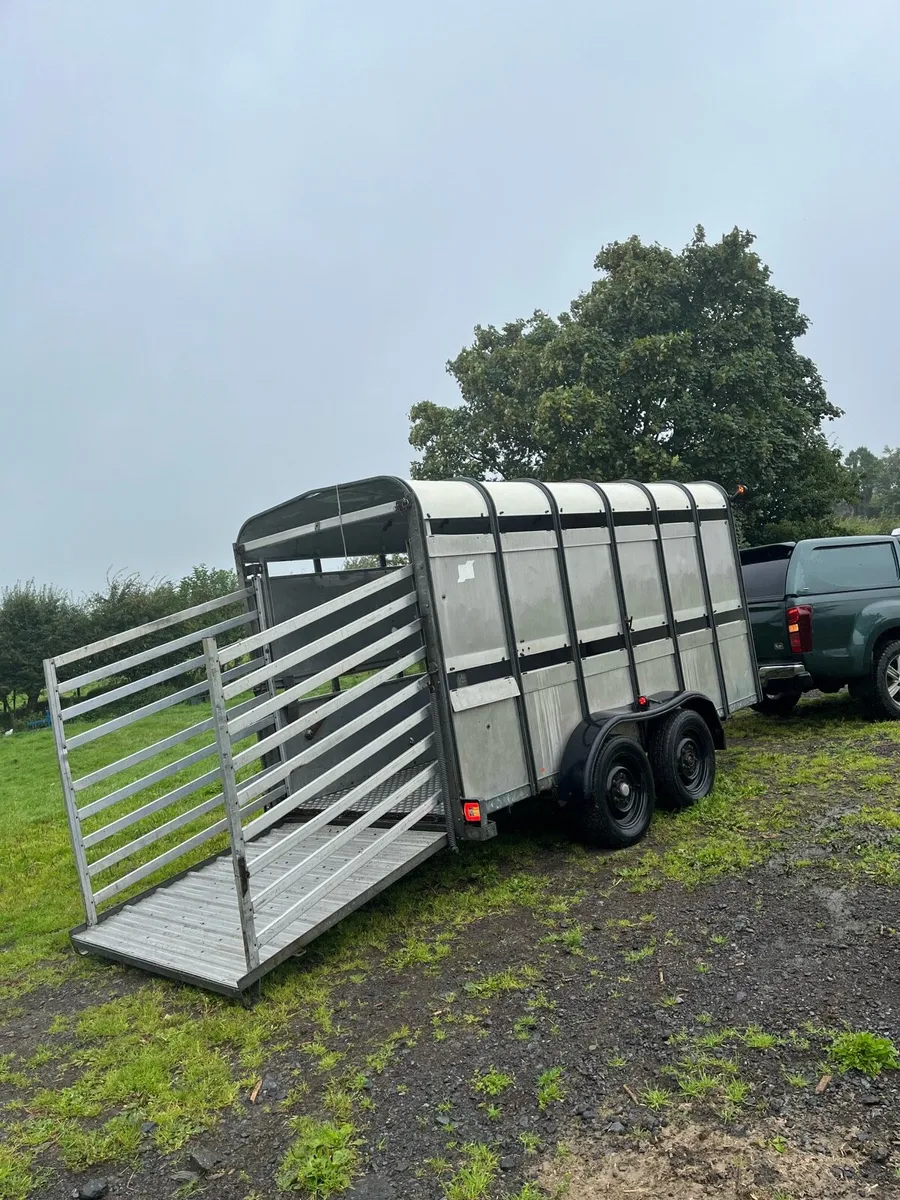 Ifor Williams 12x5 - Image 1