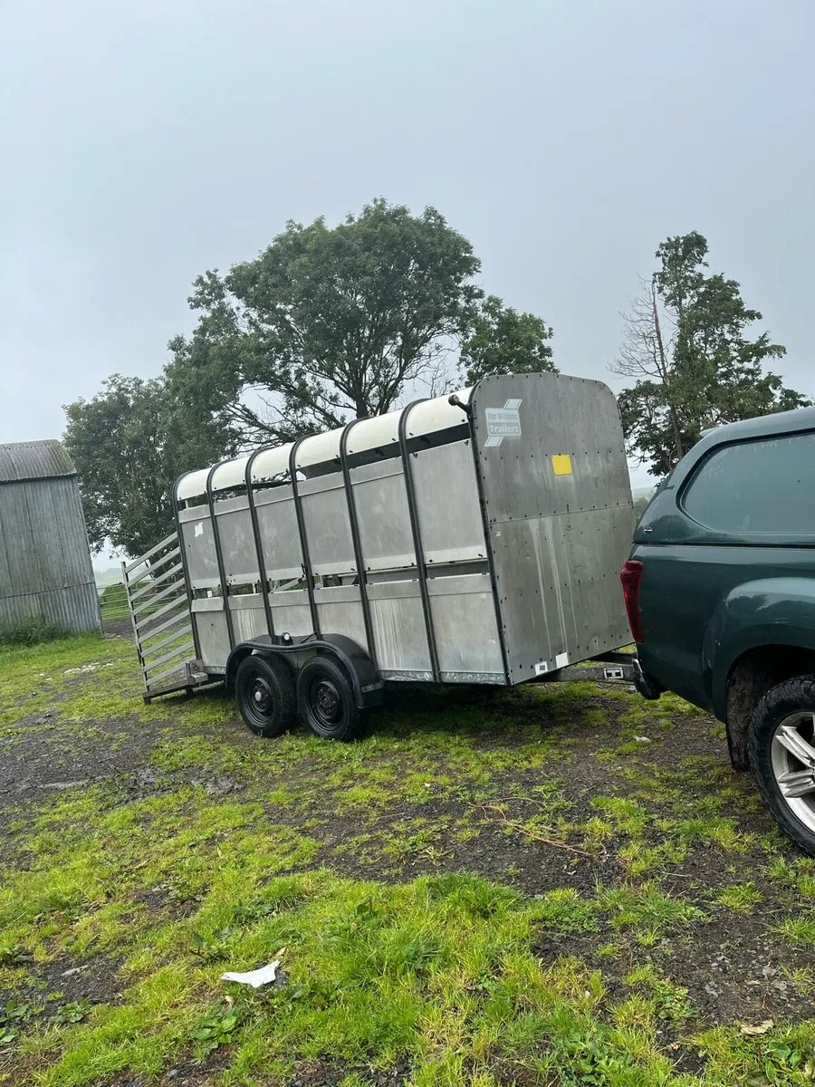 Ifor Williams 12x5 - Image 2