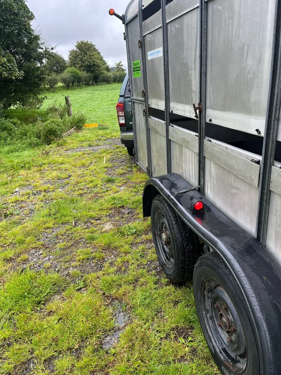 Ifor Williams 12x5 - Image 3