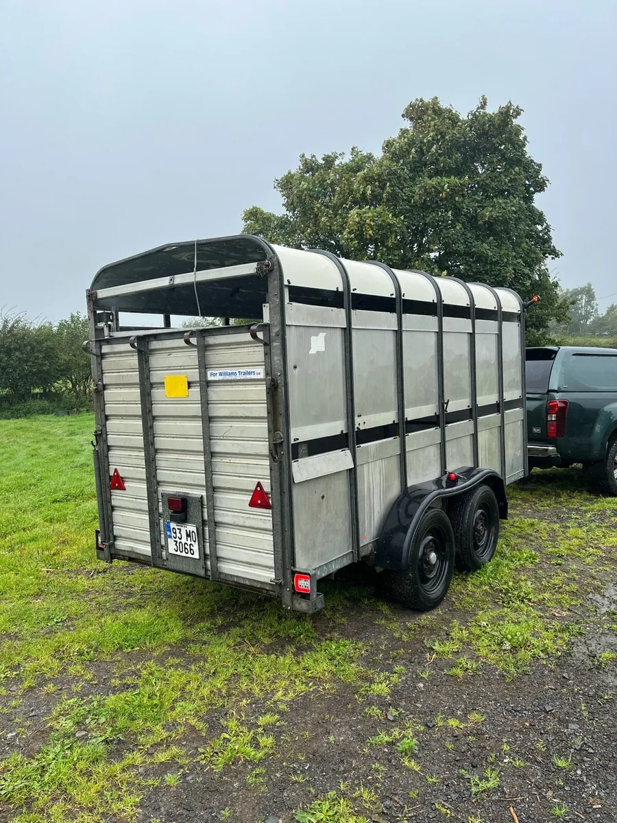 Ifor Williams 12x5 - Image 4