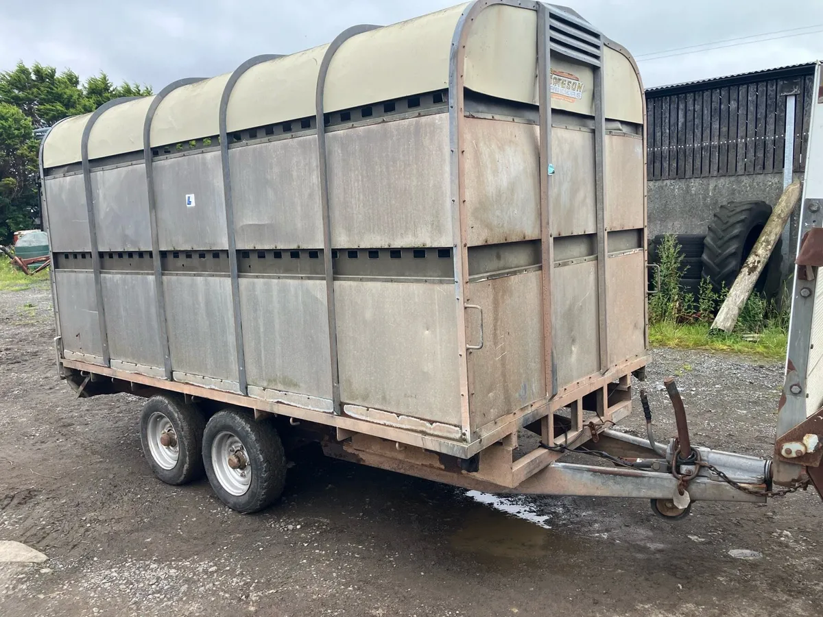 10x6”6 cattle trailer - Image 1