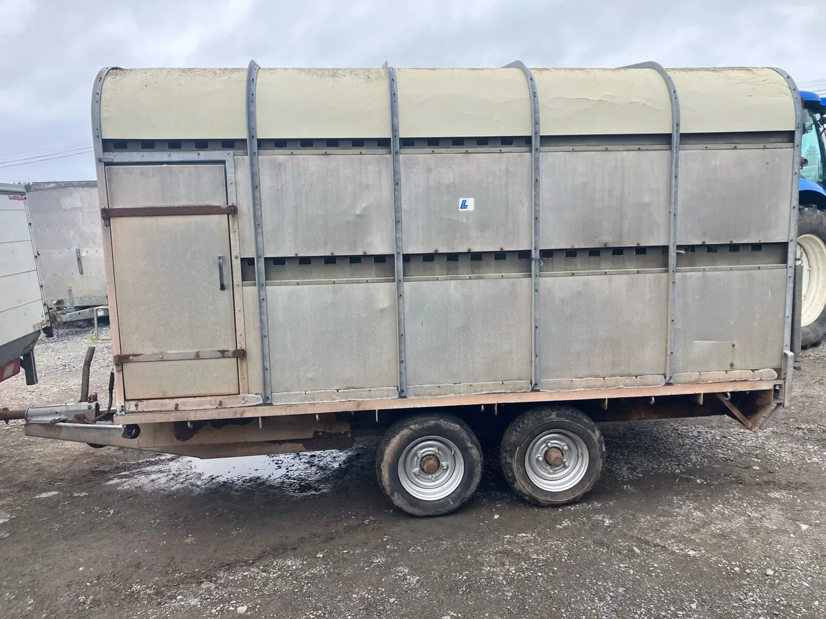 10x6”6 cattle trailer - Image 2