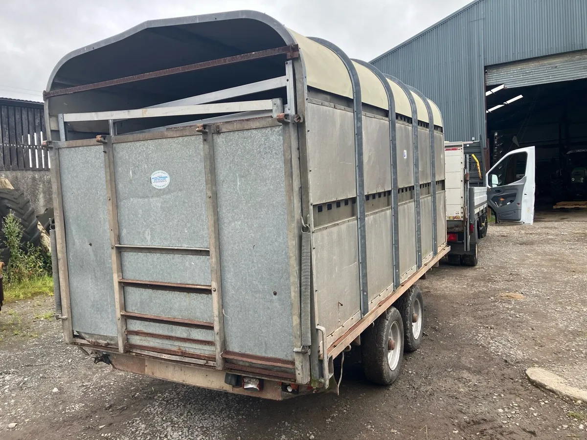 10x6”6 cattle trailer - Image 3