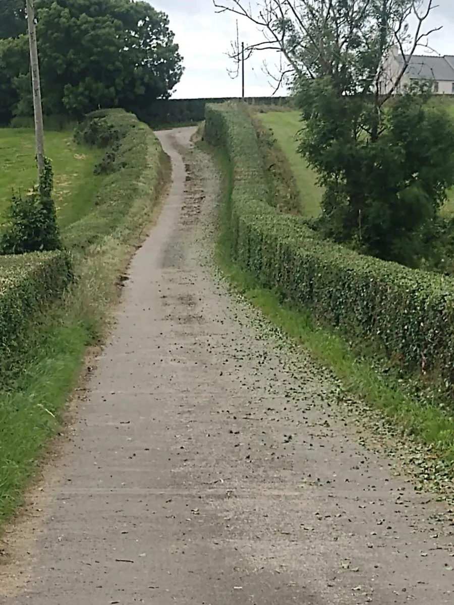 Hedge cutting - Image 3