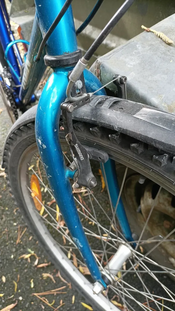Trek vintage mountain bike steel frame - Image 4