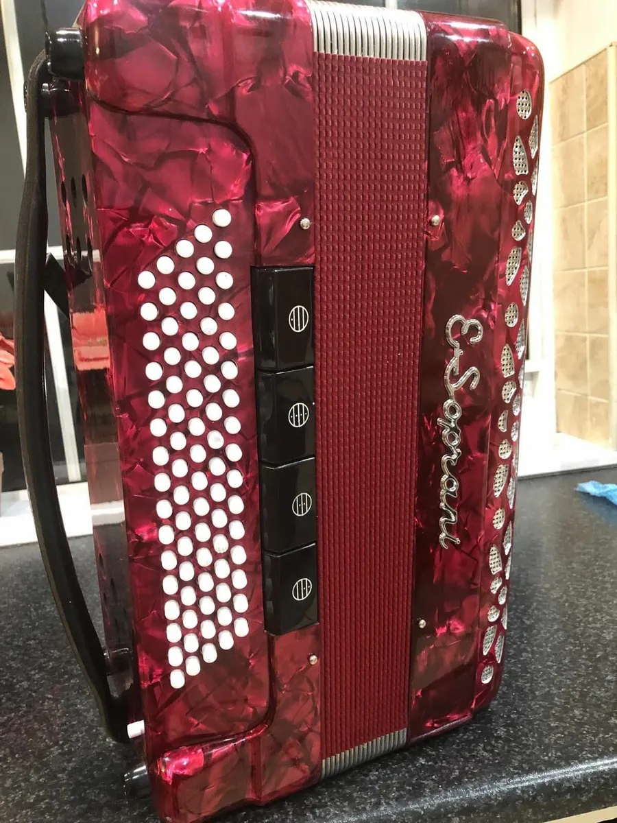 Piano Accordion - Image 4