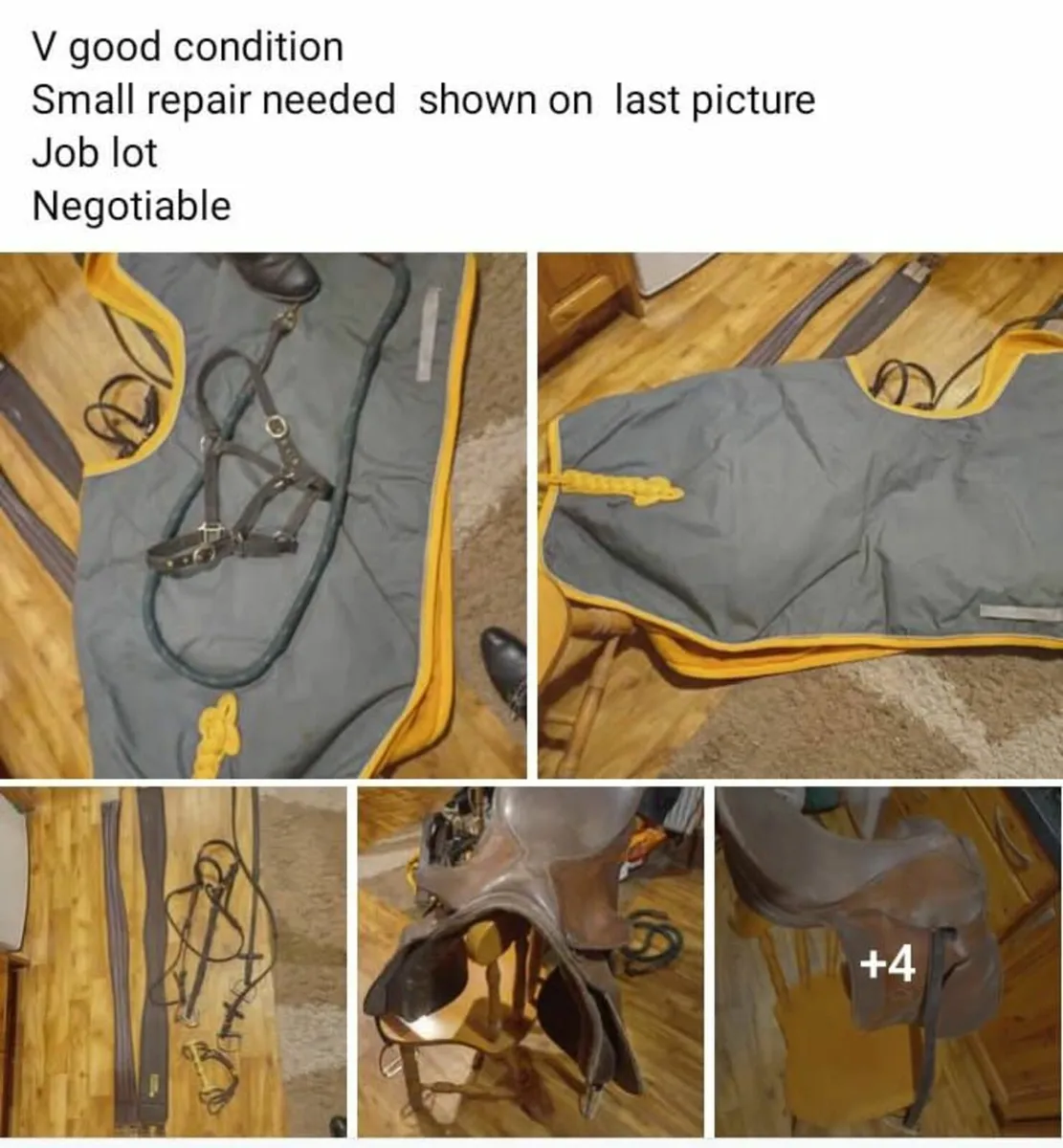 Horse tack - Image 3