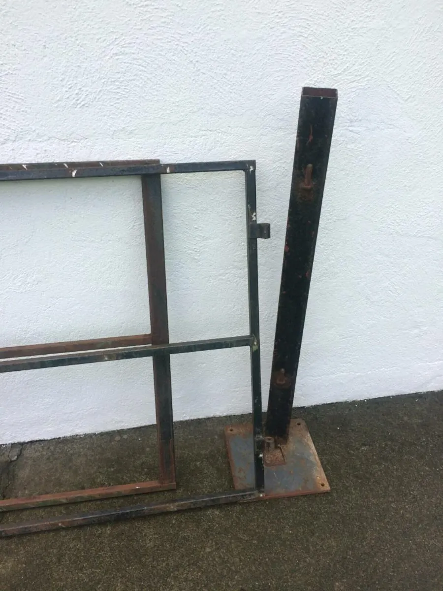 14FT Box Iron Gates - Image 2