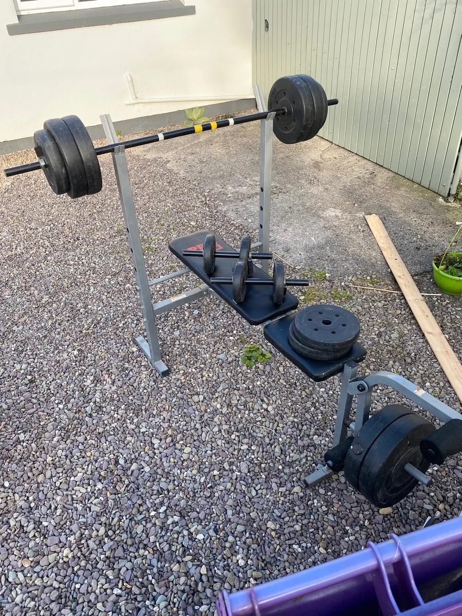 Weights and Bench