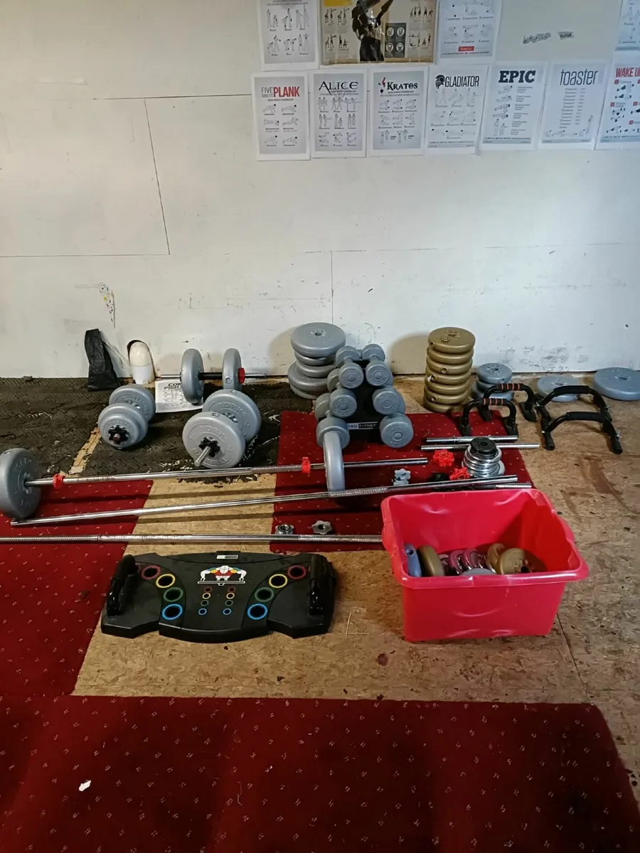 Assorted Weight Lifting Equipment