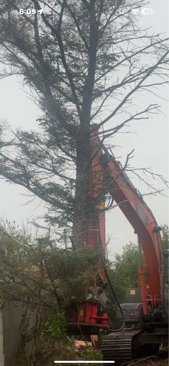 Oriel Tree Shears - Image 4