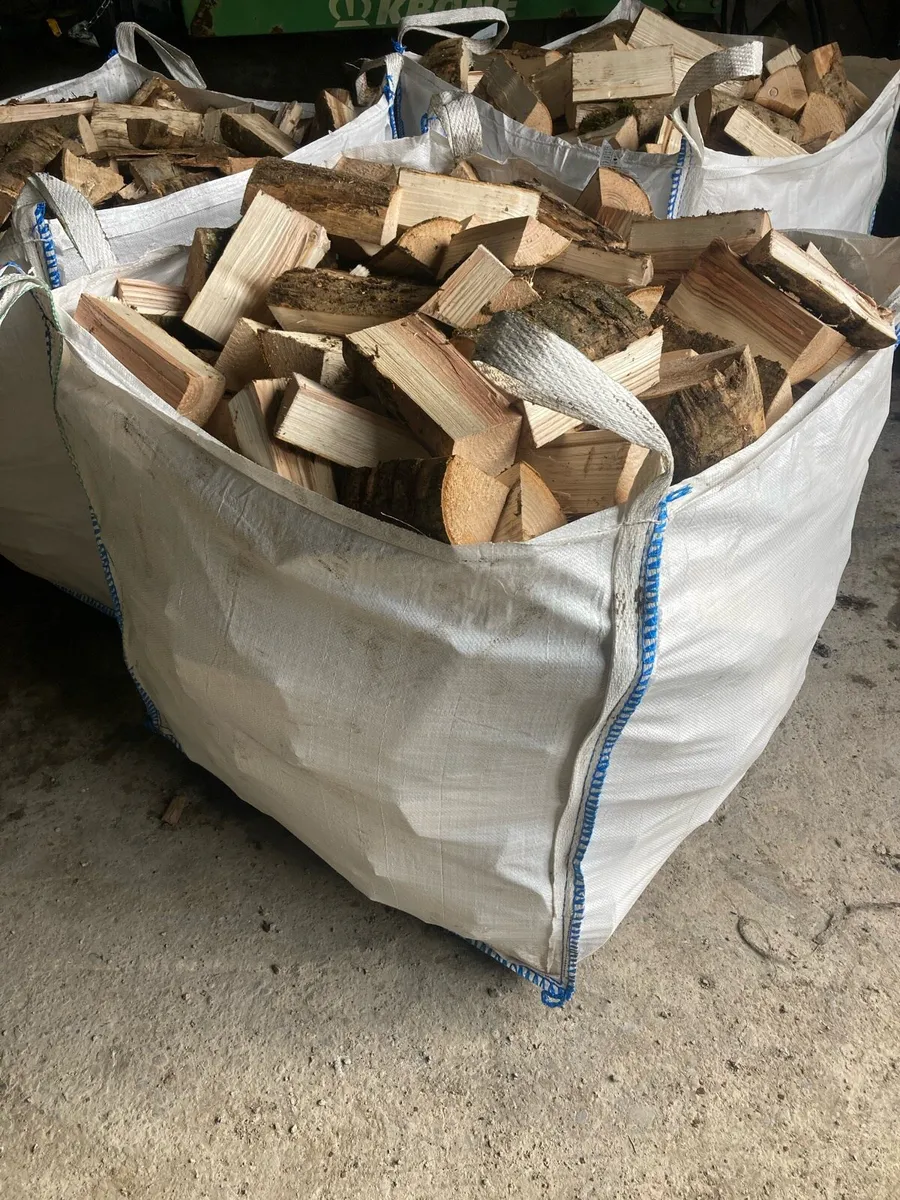 Firewood - Image 1
