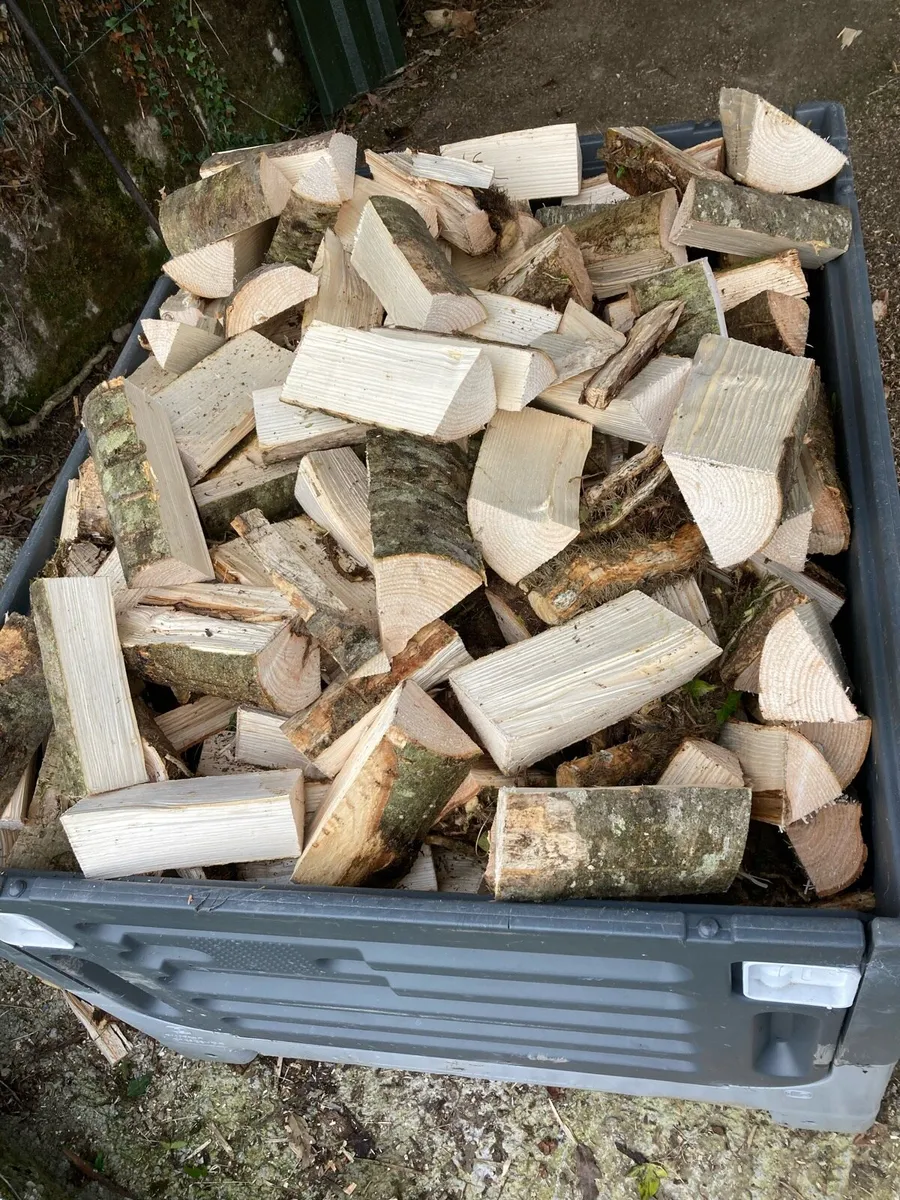 Firewood - Image 2