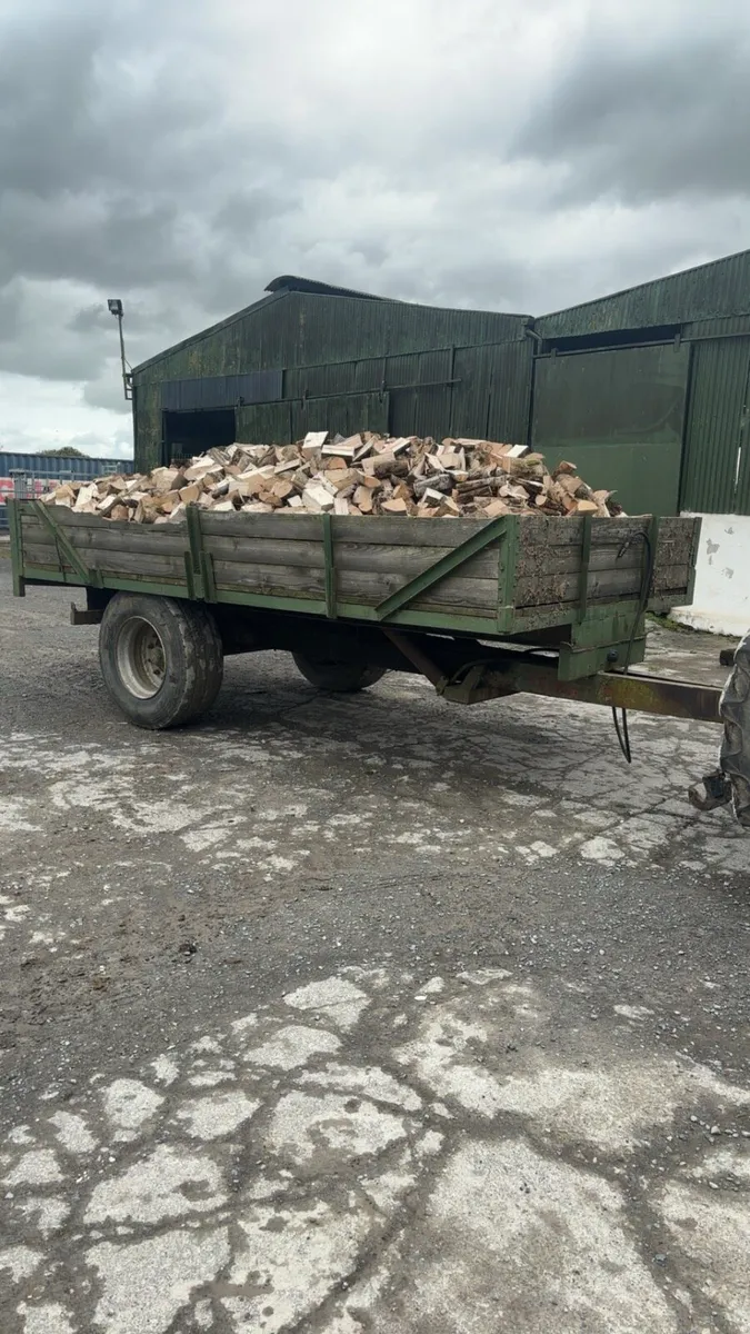 Firewood - Image 4