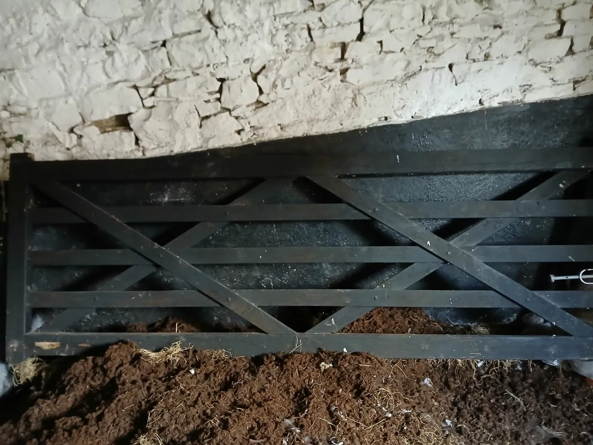 10 ft Field gate - Image 1