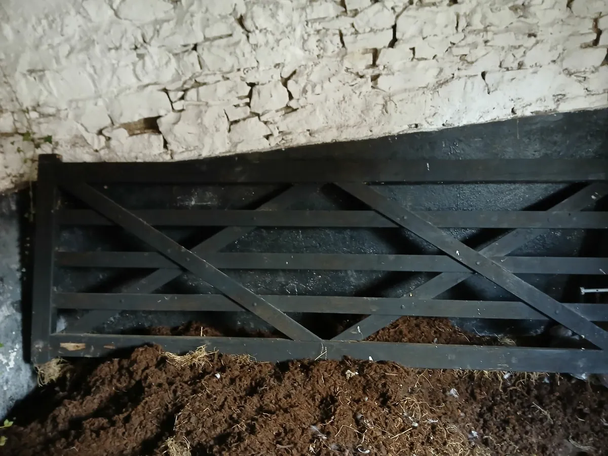 10 ft Field gate - Image 3