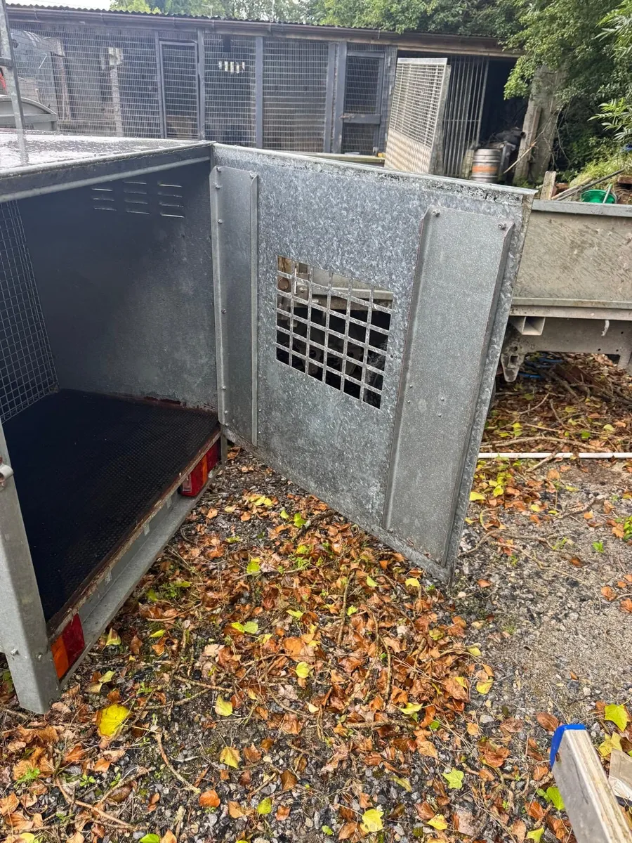 Dog trailer - Image 3