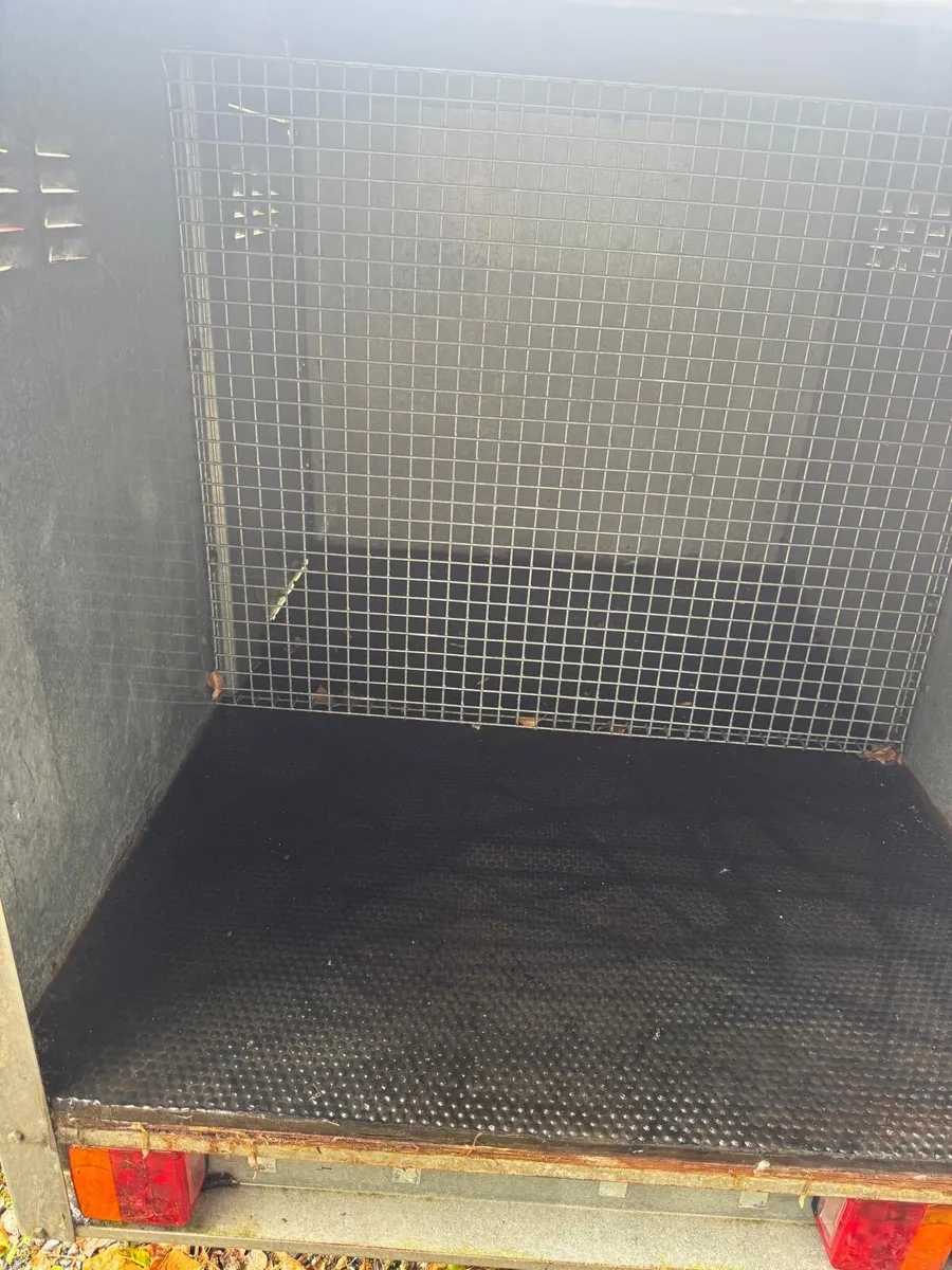 Dog trailer - Image 4
