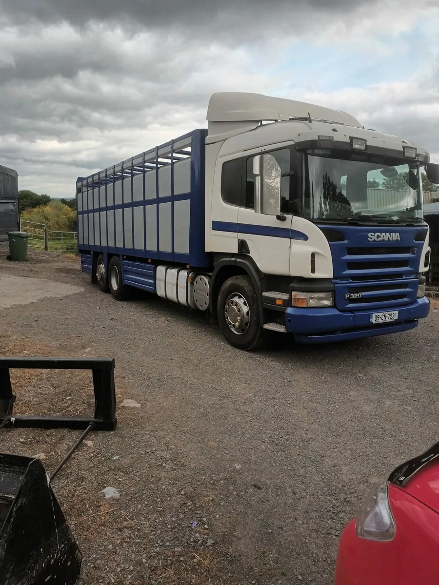 Livestock bodies painted - Image 2
