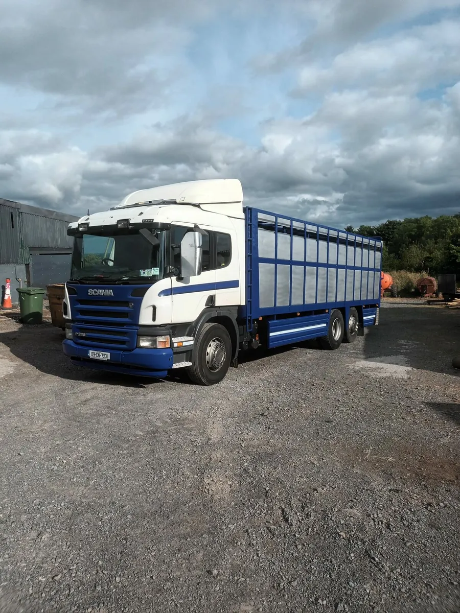 Livestock bodies painted - Image 3