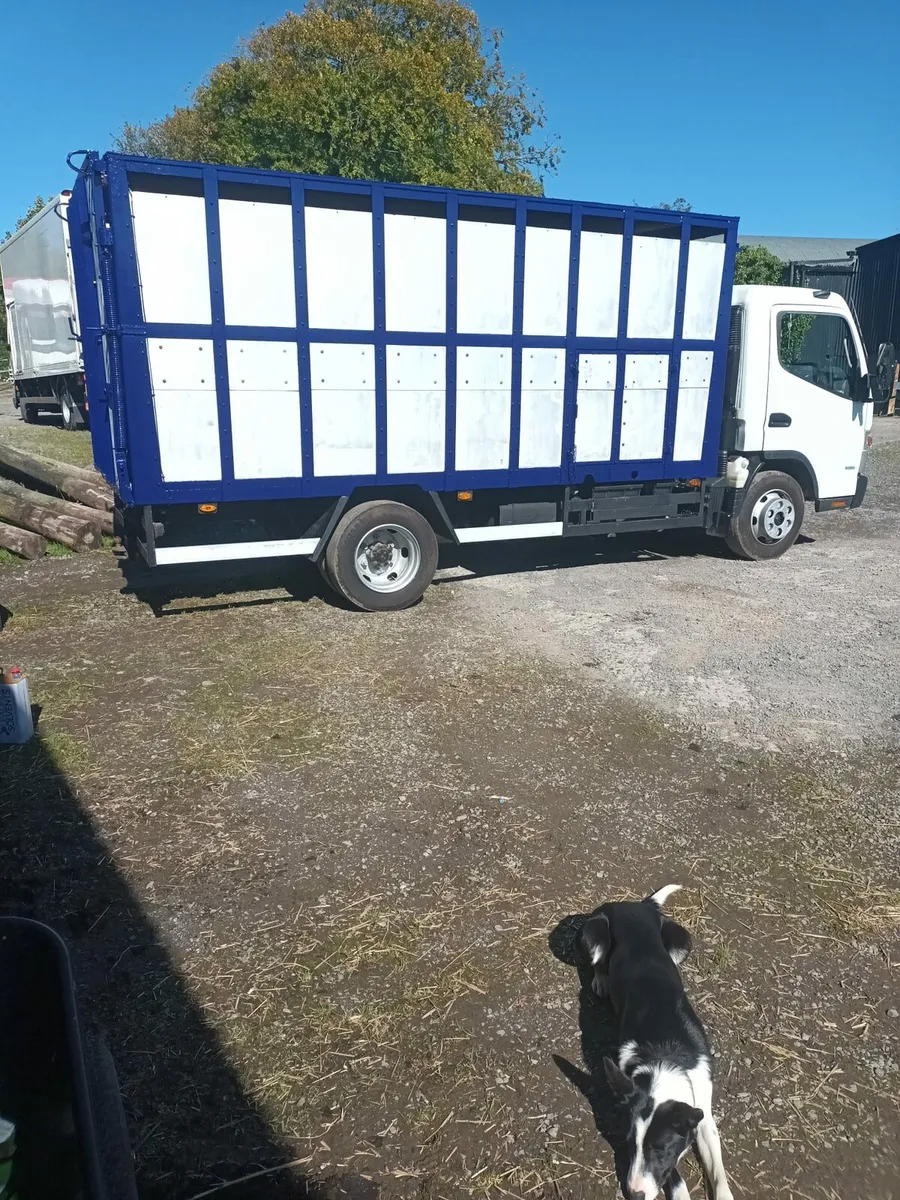 Livestock bodies painted - Image 4