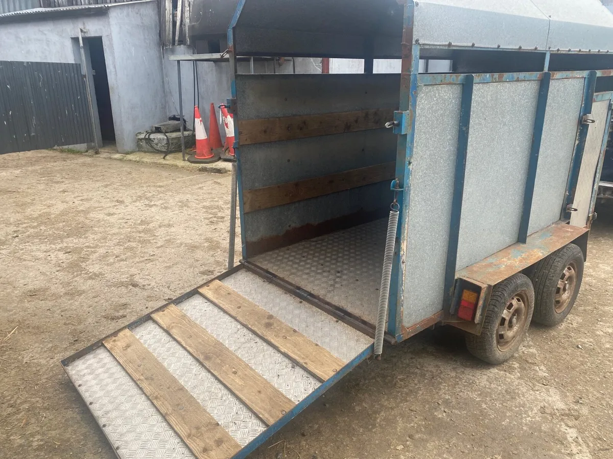 Cattlebox - Image 1