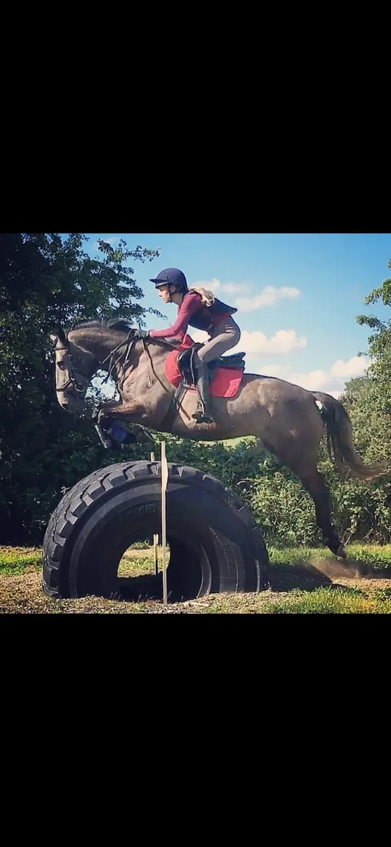 Perfect Allrounder - Image 1